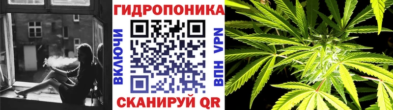 ГАШИШ Болохово