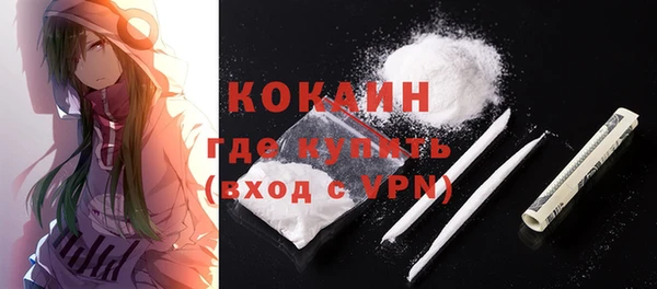 индика Баксан