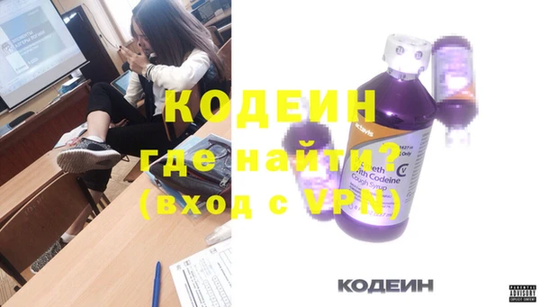 индика Баксан
