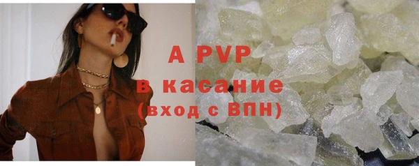индика Баксан