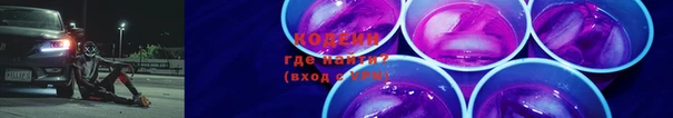 индика Баксан