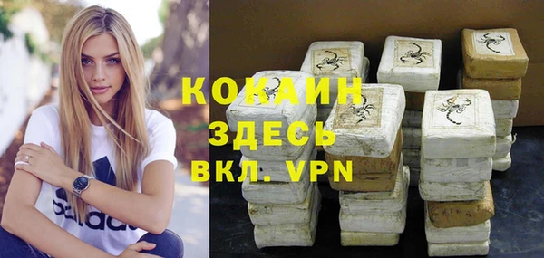 ГАЛЛЮЦИНОГЕННЫЕ ГРИБЫ Ладушкин