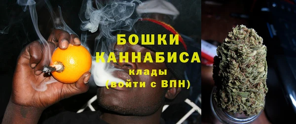 индика Баксан