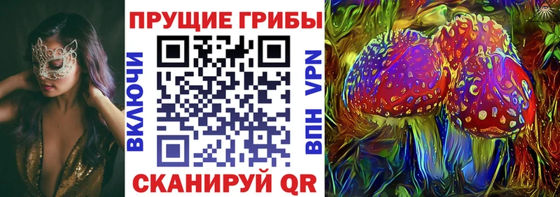 Галлюциногенные грибы прущие грибы  Купить закладки  Болохово 